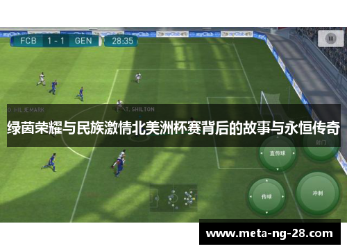 绿茵荣耀与民族激情北美洲杯赛背后的故事与永恒传奇