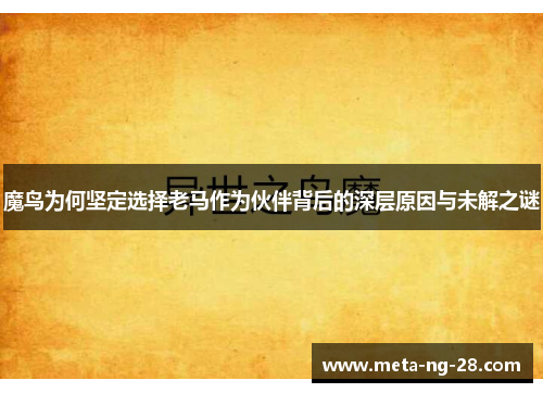 魔鸟为何坚定选择老马作为伙伴背后的深层原因与未解之谜