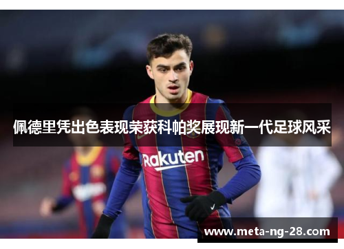 佩德里凭出色表现荣获科帕奖展现新一代足球风采