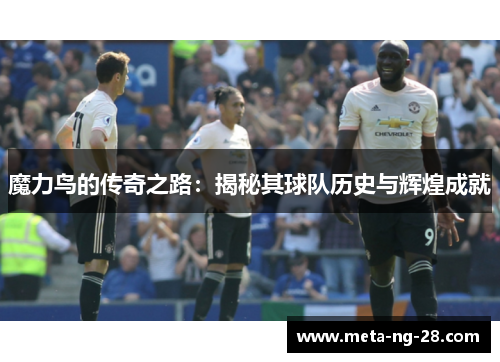 魔力鸟的传奇之路:揭秘其球队历史与辉煌成就 魔力鸟的传奇之路:揭秘其球队历史与辉煌成就